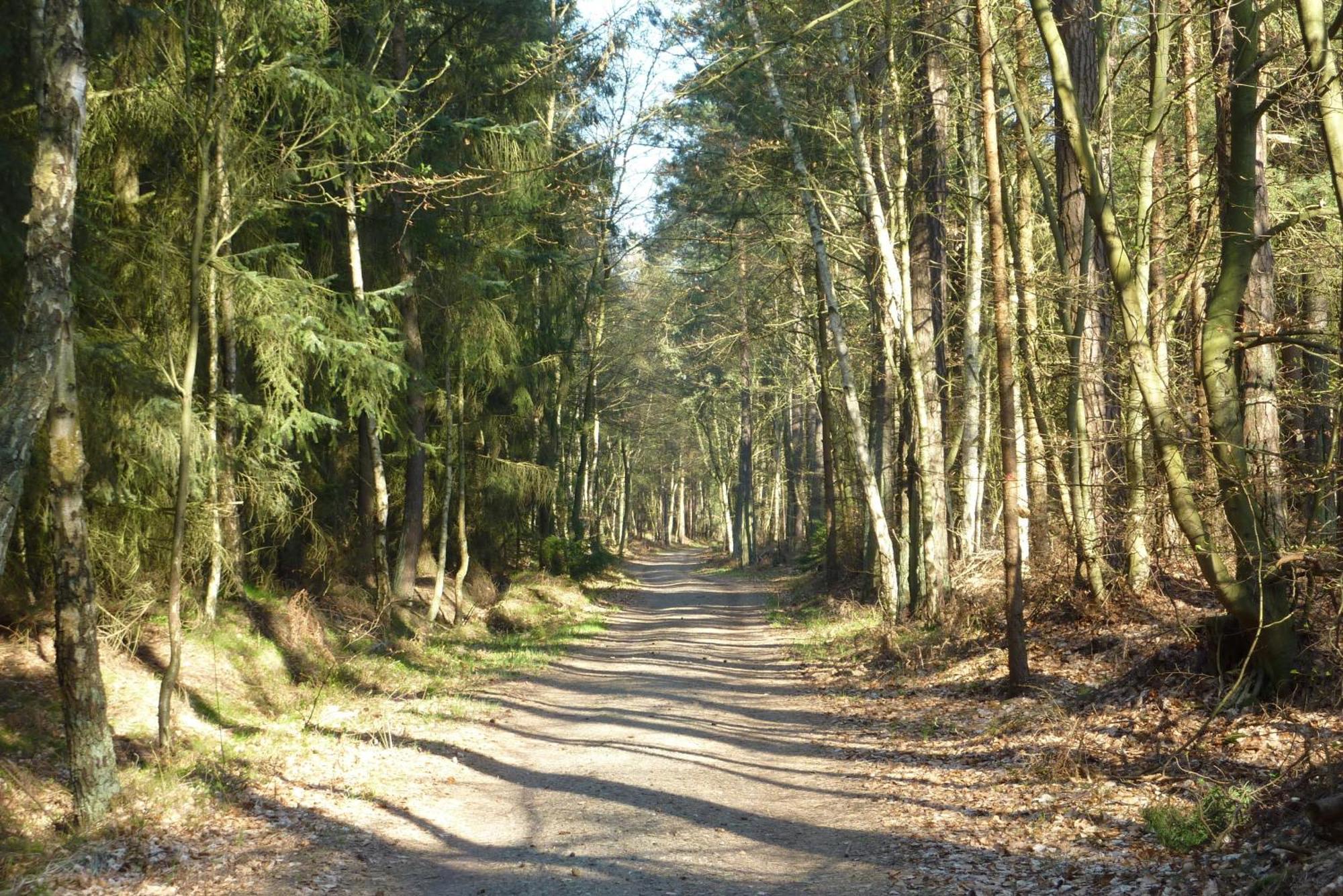 FeWo Rothirsch - Heuser Prerow Exterior foto